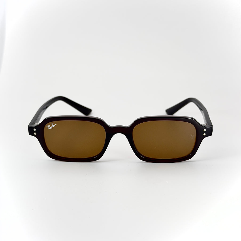 RB4455 ZURI Marron foncé (Dark Brown / Havana)