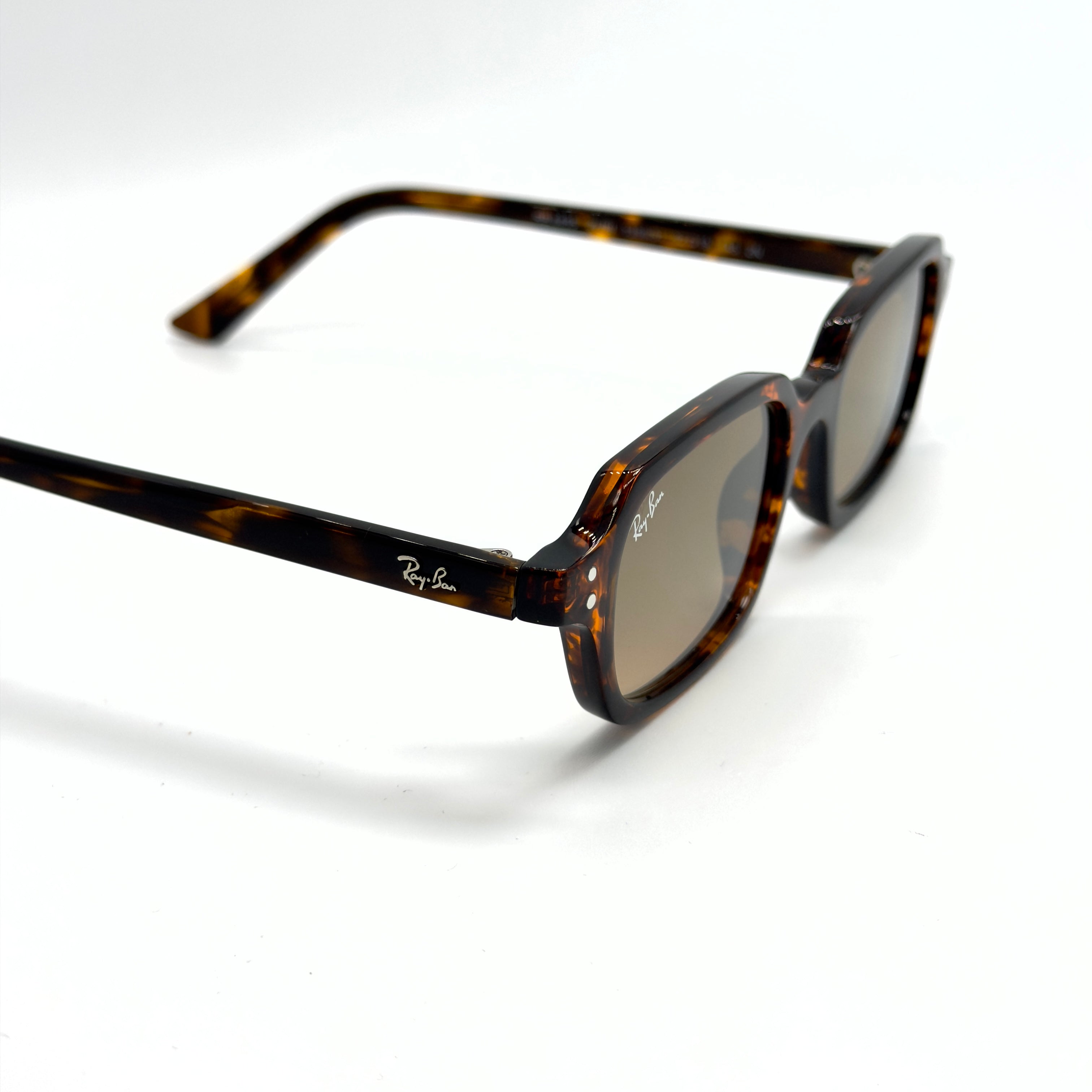 RB4455 ZURI  Havana Transparent Brun