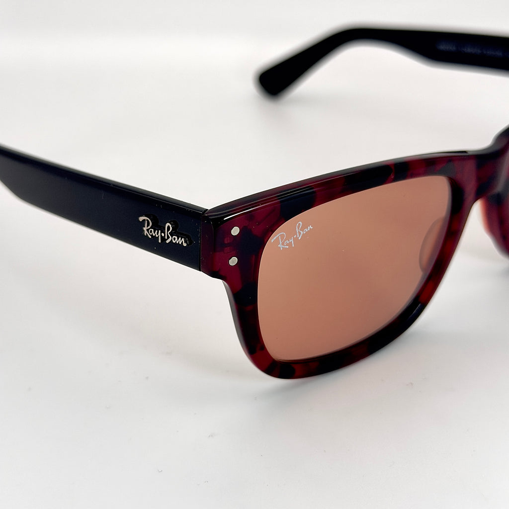 Ray-Ban Burbank RB2283