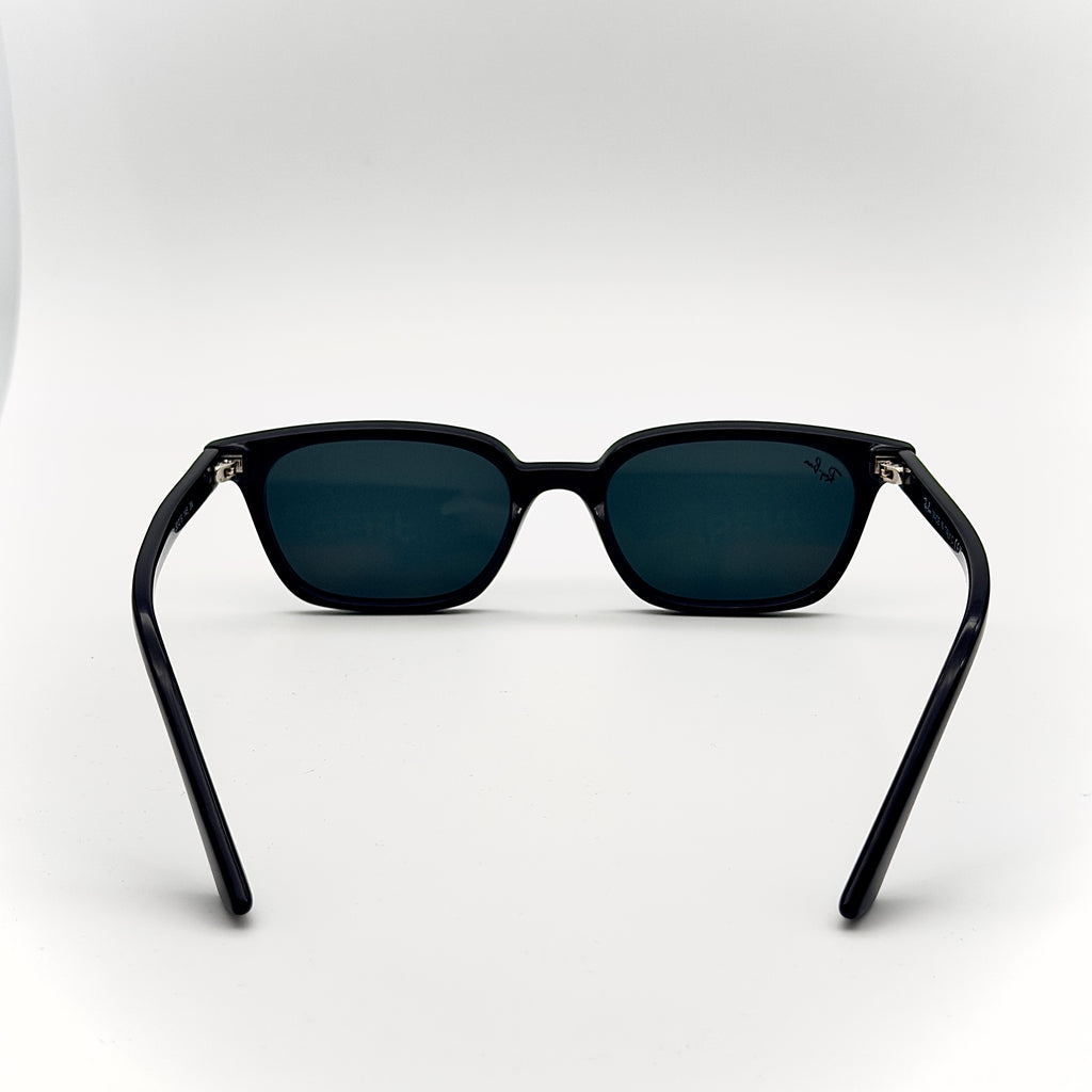 Ray-Ban ZAYA RB4456 6677/81.