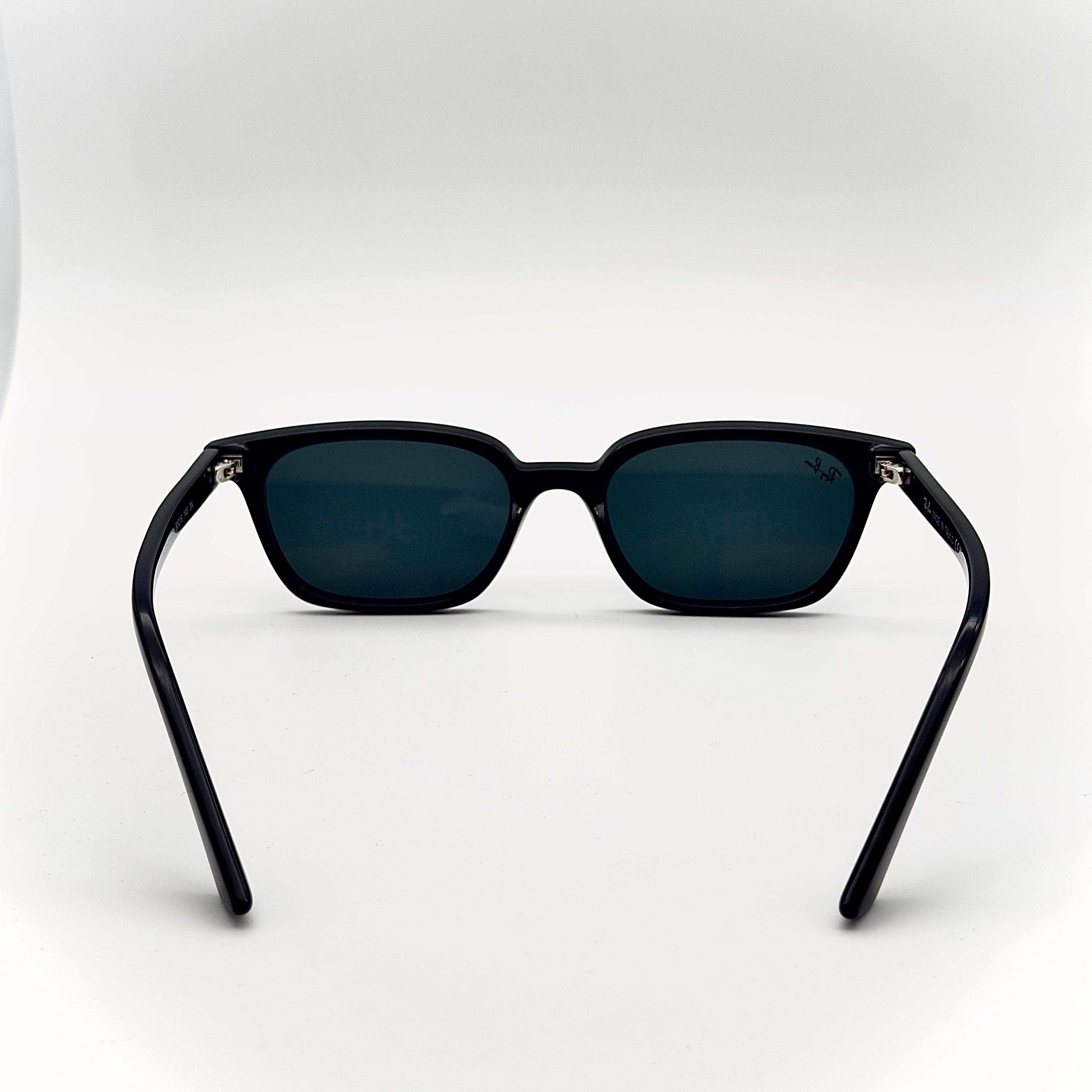 Ray-Ban ZAYA RB4456 6677/81.