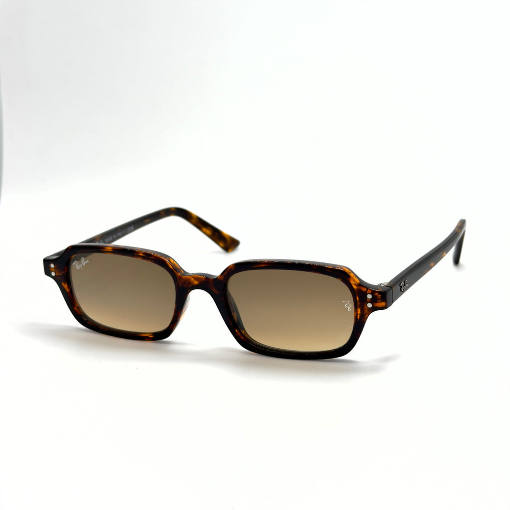 RB4455 ZURI  Havana Transparent Brun