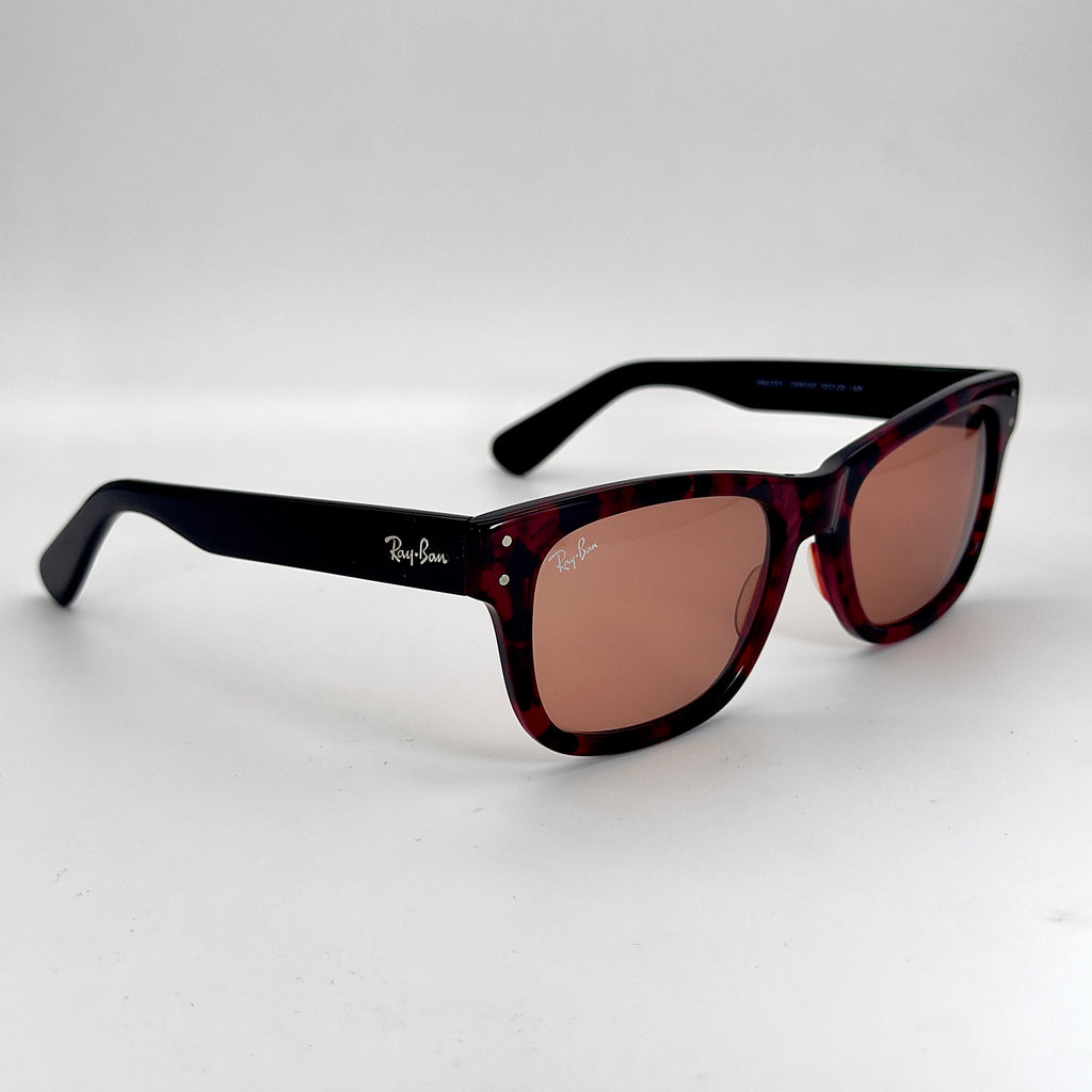 Ray-Ban Burbank RB2283