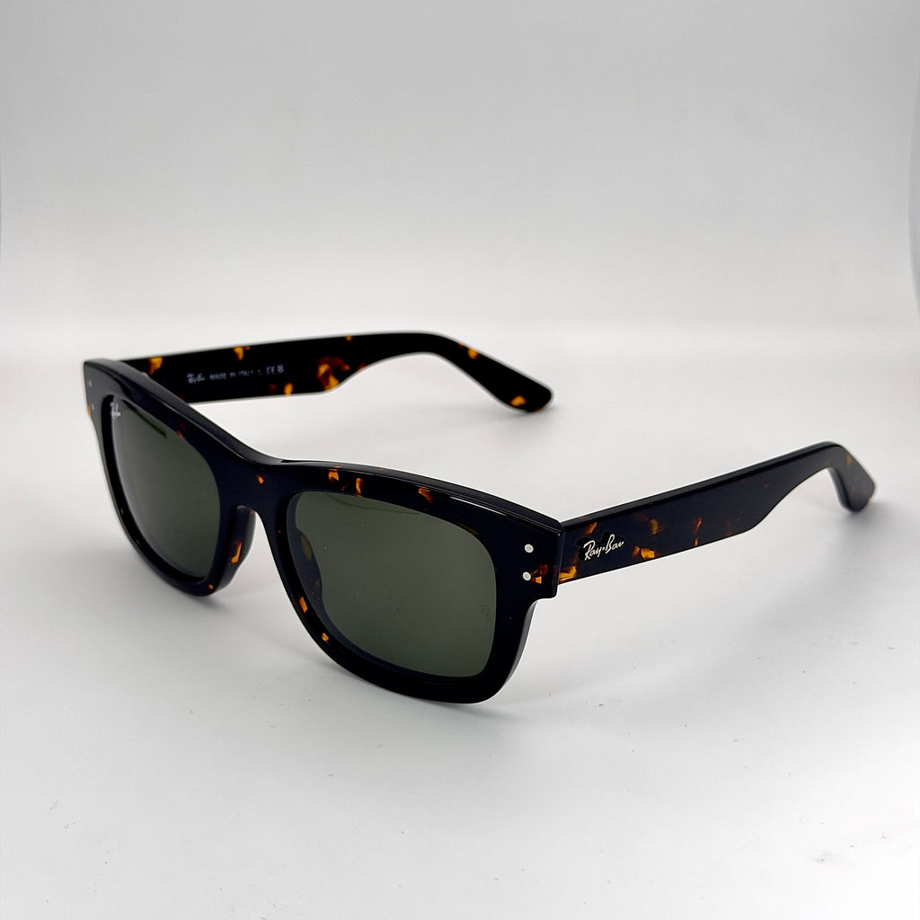 Ray-Ban Burbank RB2283