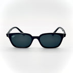 Ray-Ban ZAYA RB4456 6677/81.