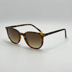 RB2197 ELLIOT Havana (902/51)