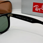 Ray-Ban Wayfarer (Finition Noir Mat)