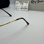 Ray-Ban RB3694 (Silhouette Géométrique)