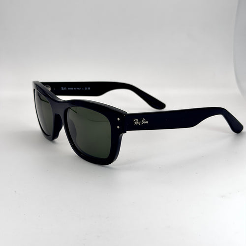 Ray-Ban Burbank RB2283