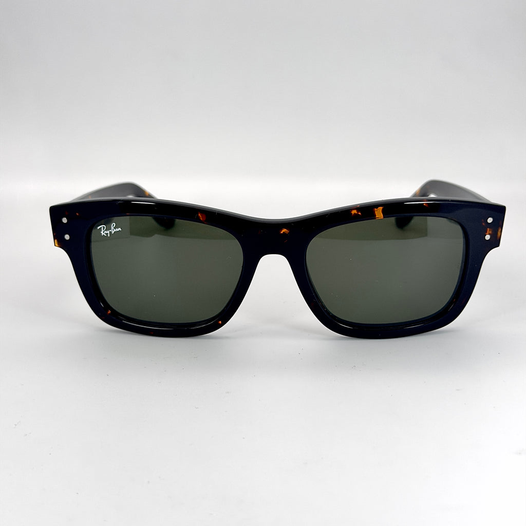 Ray-Ban Burbank RB2283