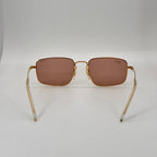 Ray-Ban RB3669 Evolve Photochromic