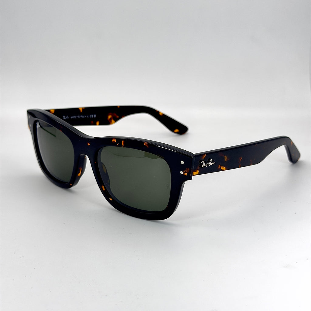 Ray-Ban Burbank RB2283