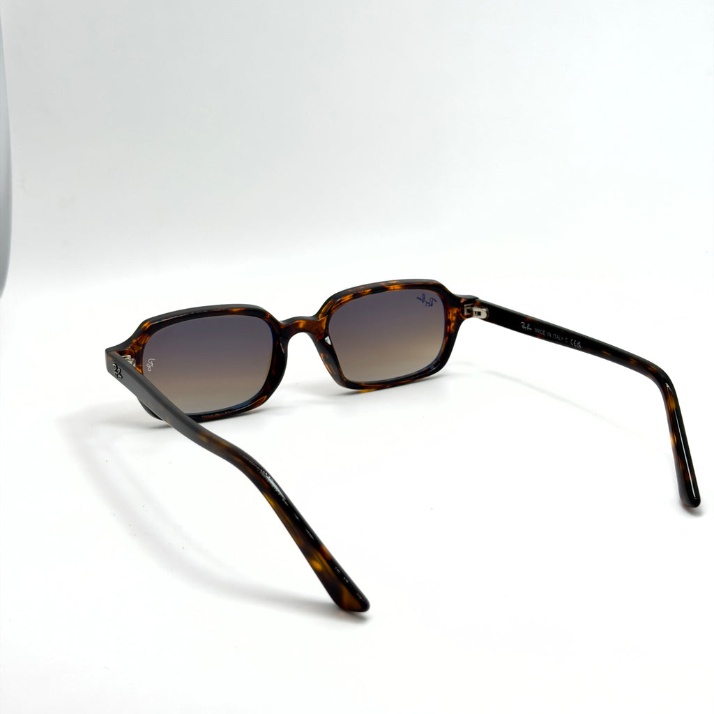 RB4455 ZURI  Havana Transparent Brun