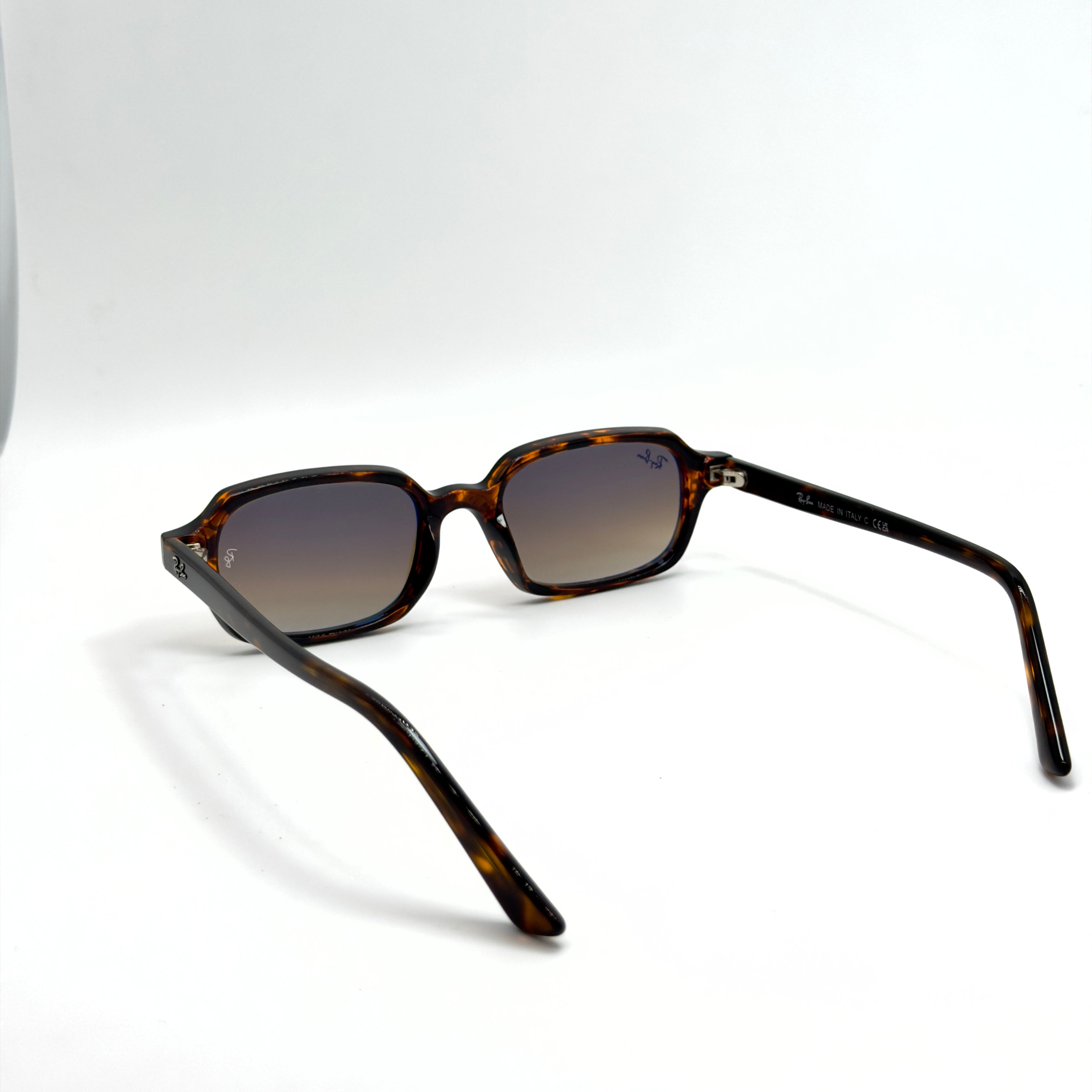 RB4455 ZURI  Havana Transparent Brun