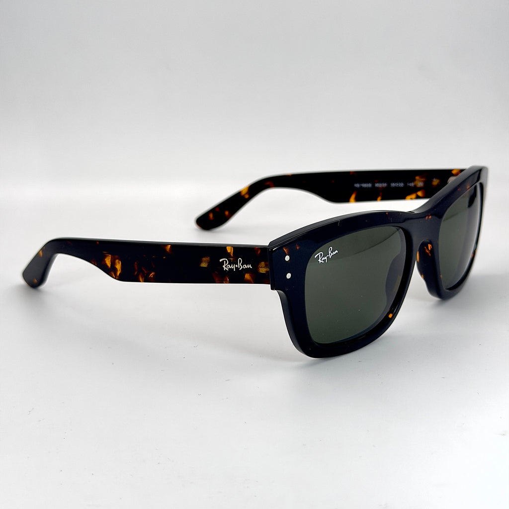 Ray-Ban Burbank RB2283