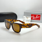 Mega Wayfarer Havana Amber RB 0840S 6636/9 (Taille 51-21)